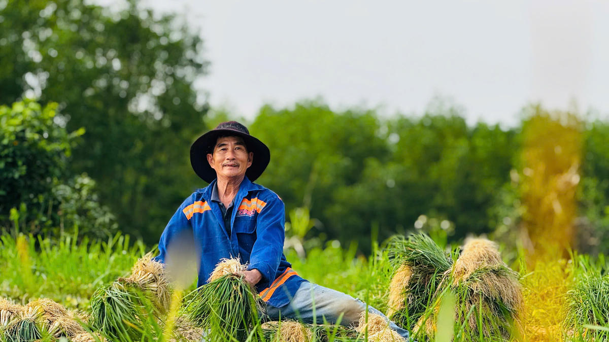 Người dân xã Bình Sơn vui mừng vụ mùa kiệu bán được giá. Ảnh: Tấn Thành.