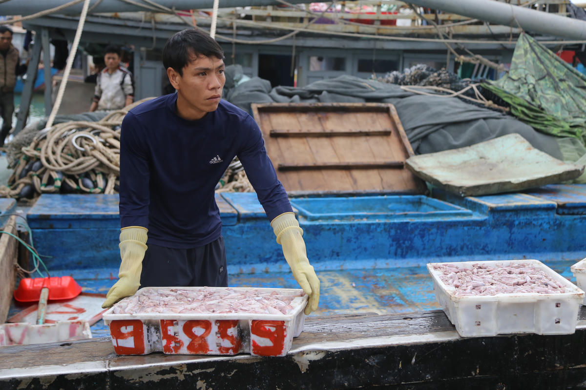 Rộn ràng những chuyến đi biển cuối năm