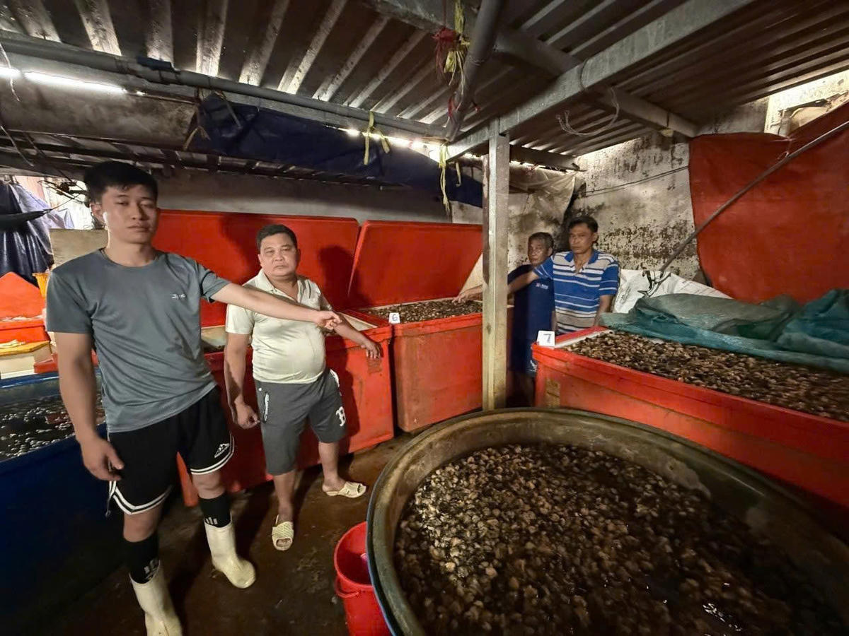 TP Hồ Chí Minh: Triệt phá đường dây ngâm 3.000 tấn thịt ốc bằng hóa chất công nghiệp
