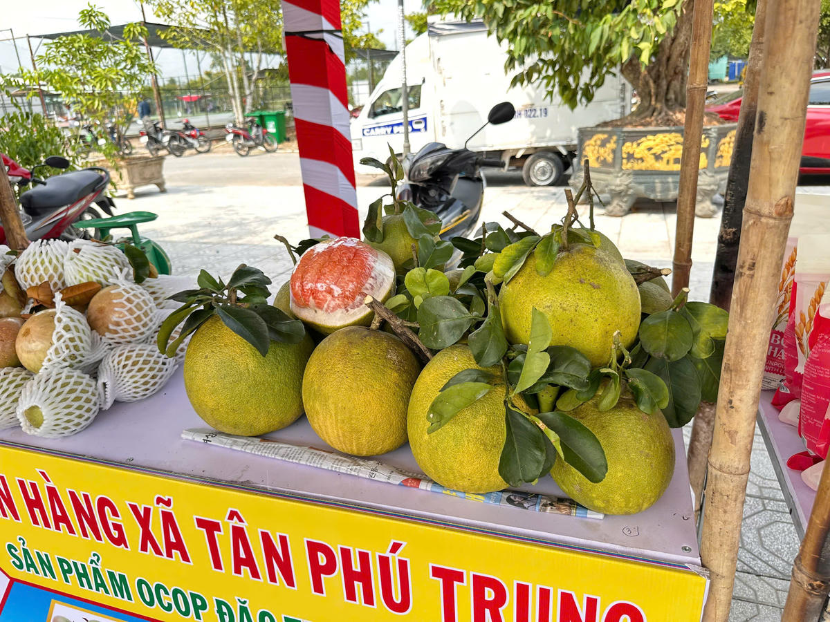 Đa dạng trái cây đặc trưng của địa phương được bày bán tại lễ hội. Ảnh: Trung Ngãi.