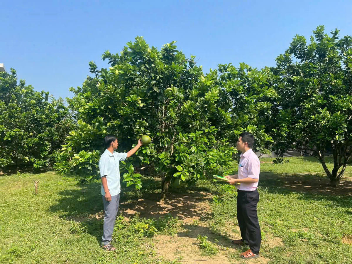 Thoát nghèo nhờ vốn vay ưu đãi