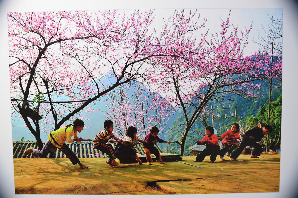 Triển lãm diễn ra từ nay đến 26/2. Ảnh: Phạm Sỹ.