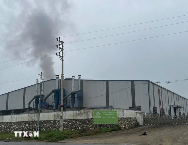 (Ảnh: Đinh Thùy/TTXVN)