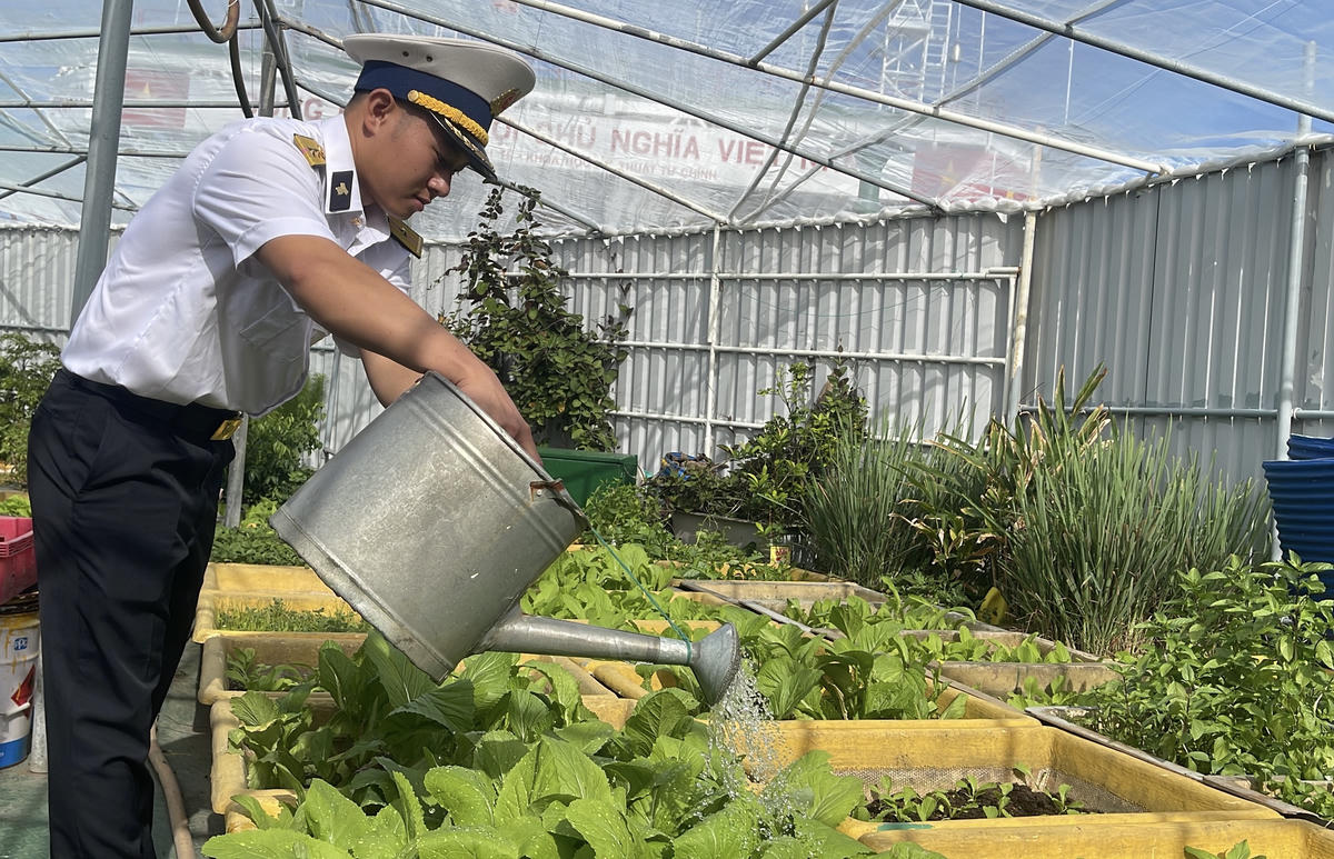 Để những vườn rau phát triển và cho thu hoạch tốt, việc chăm sóc là rất quan trọng. Trong đó đảm bảo đủ nước ngọt tưới cây là vấn đề quan trọng nhất. Ảnh: Đoàn Xá.