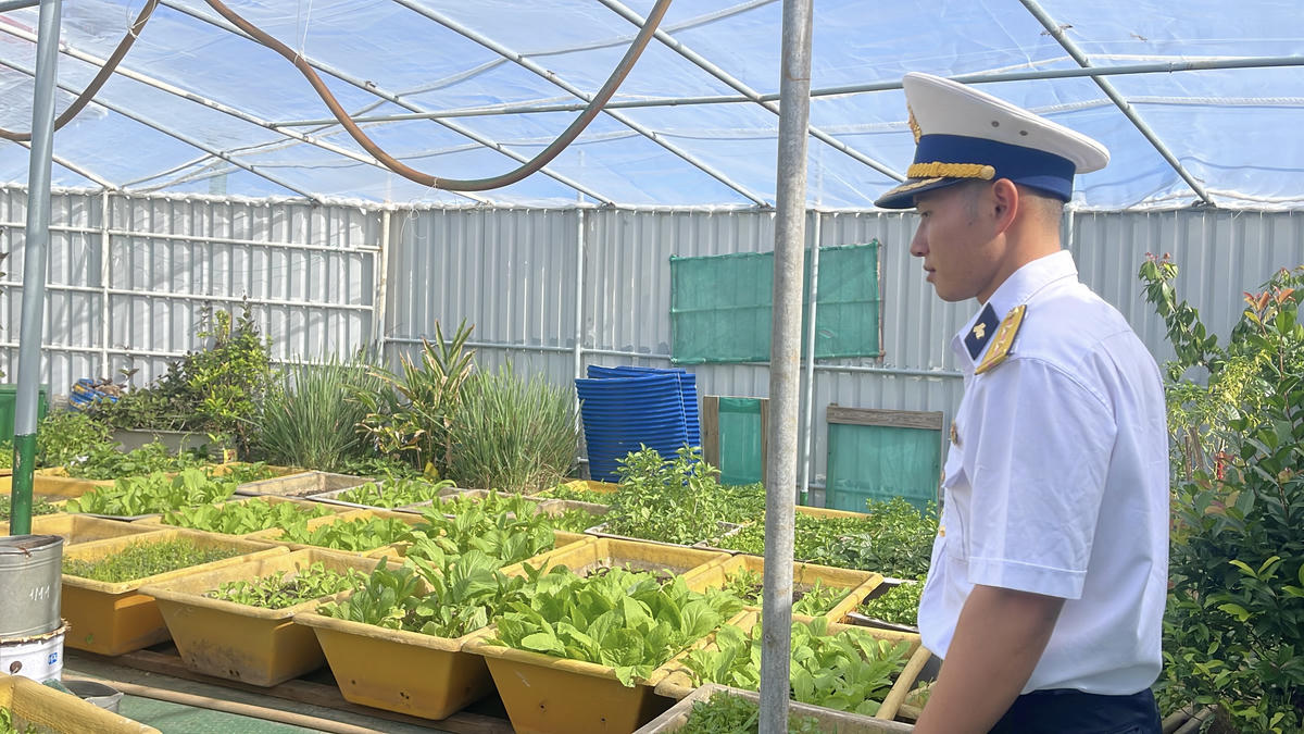 Toàn bộ đất, hạt giống, phân bón, chậu nhựa... đều được mang từ đất liền ra để phục vụ việc canh tác. Ảnh: Đoàn Xá.