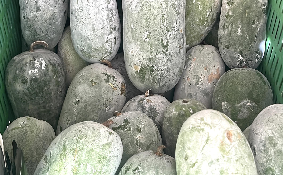 Bên cạnh nguồn rau xanh tự gieo trồng, một số loại rau củ quả khác cũng thường xuyên được vận chuyển từ đất ra các nhà giàn để phục vụ cuộc sống hàng ngày cán bộ chiến sĩ. Ảnh: Đoàn Xá.