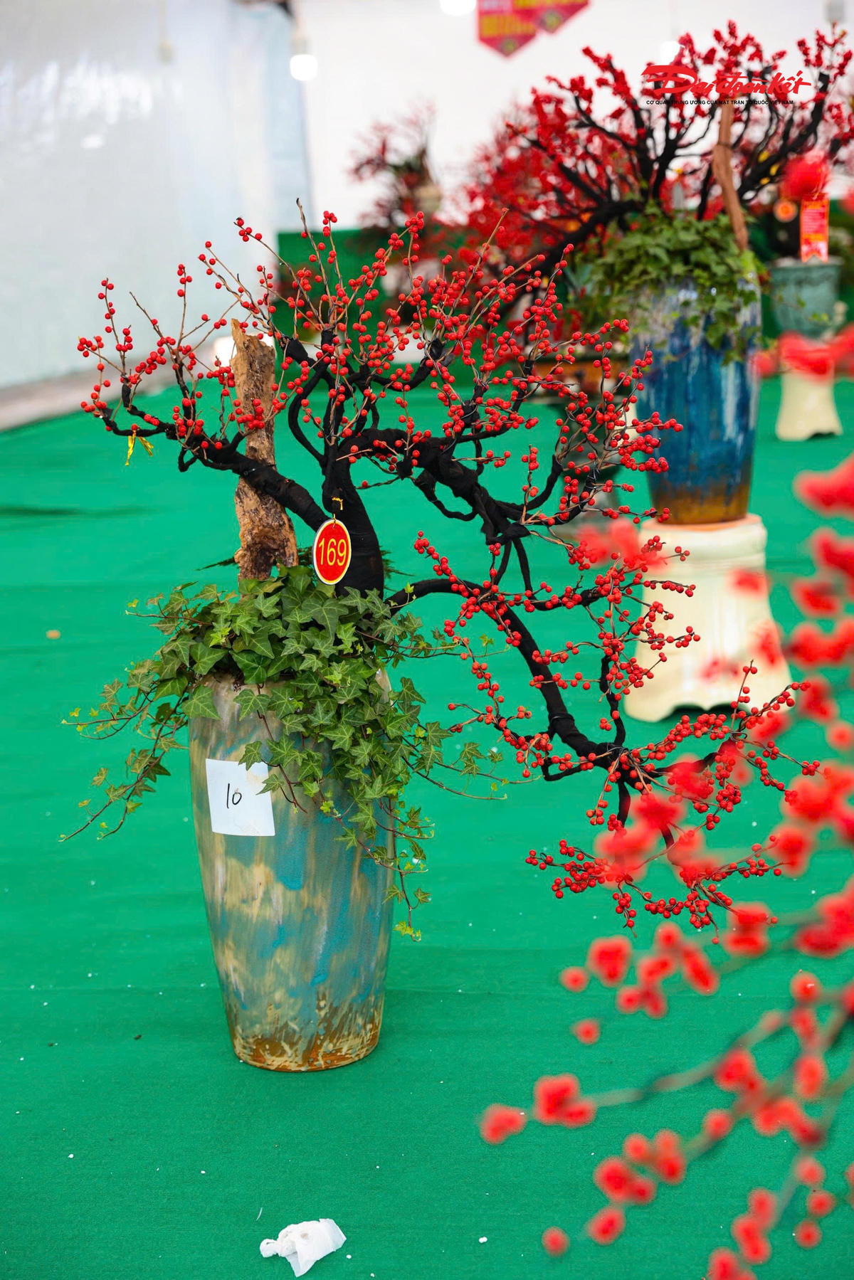 Những gốc đào đông đỏ nhập khẩu, có chiều cao từ 2–3 mét, dáng thế đẹp, quả đều và dày, được chào bán với giá từ vài chục cho tới hàng trăm triệu đồng, tùy kích thước và độ hoàn thiện.. 