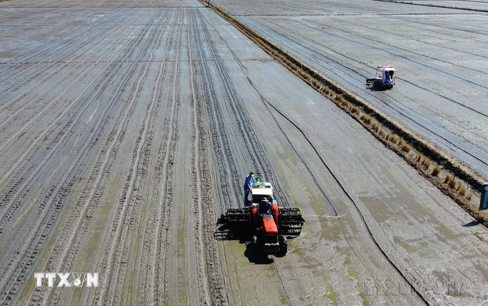 Cơ giới hóa trong khâu gieo sạ đối với diện tích tham gia mô hình canh tác lúa chất lượng cao, giảm phát thải tại huyện Tháp Mười (tỉnh Đồng Tháp). (Ảnh: Nhựt An/TTXVN)