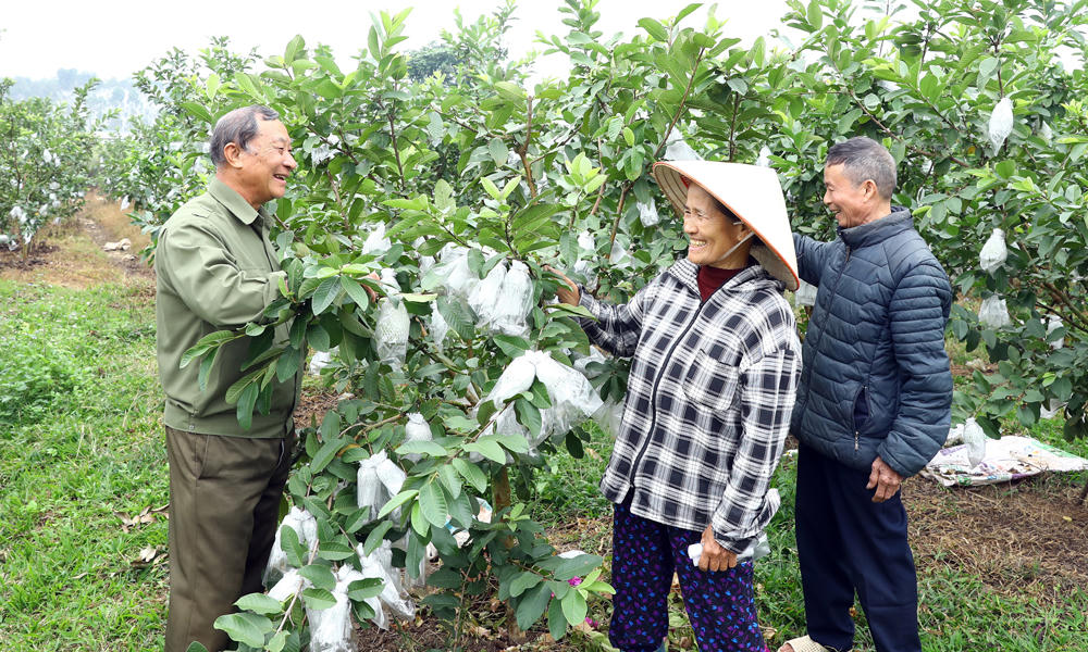 Nối dài nhịp cầu đoàn kết