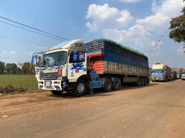 Hải quan trực 24/7, không để ùn ứ thực phẩm nhập khẩu 