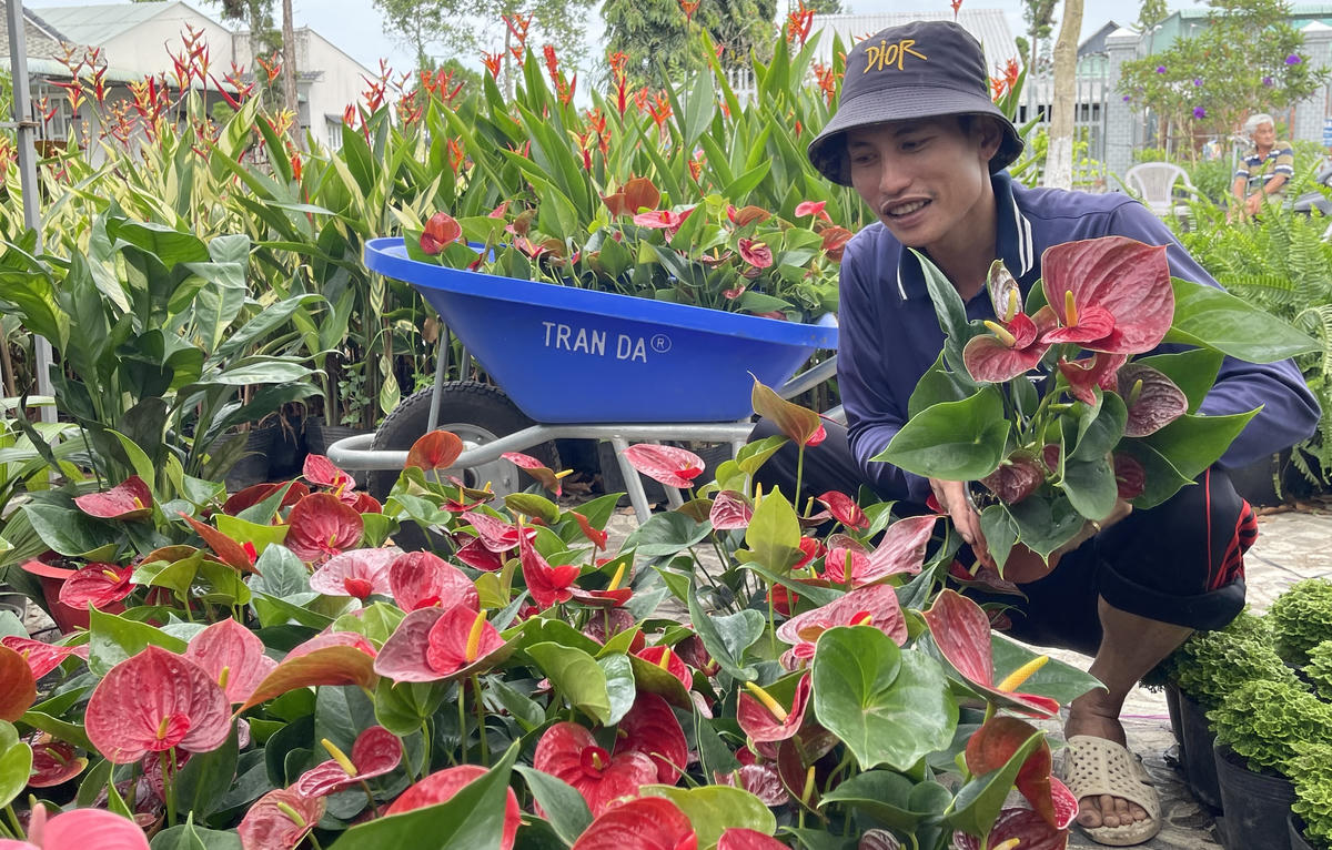 Nhiều loại hoa, cây cảnh bày bán ven đường dịp tết. Ảnh: Đ.Xá