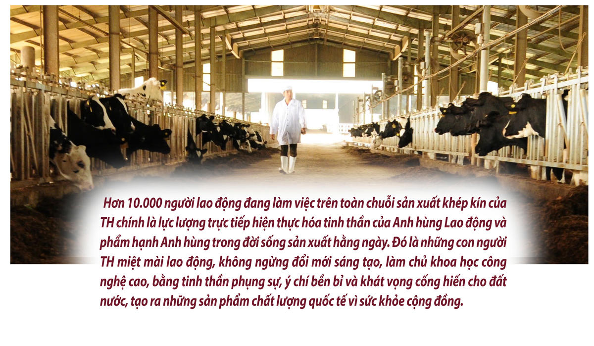 Bản lĩnh anh hùng của một tập thể anh hùng