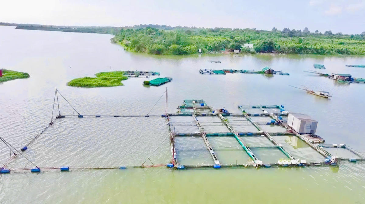 Ea Nuôl – Khát vọng hội tụ, tiềm năng cất cánh trên vùng đất mới