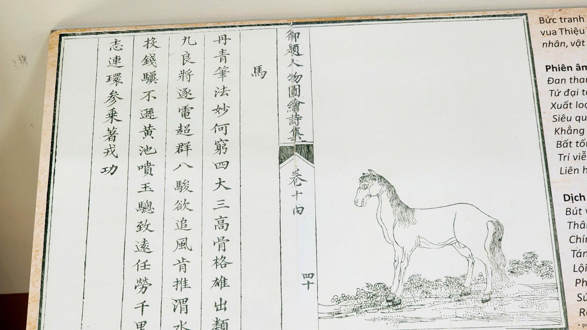 Năm 1826, Hoàng đế Minh Mạng cho thành lập Viện Thượng Tứ trong Kinh thành Huế nhằm nuôi dưỡng, huấn luyện và quản lý các hạng ngựa, như Ngự Mã (ngựa dành riêng cho vua), Lộ Mã (ngựa kéo xe), Nghi Mã (ngựa phục vụ nghi lễ) và Sai Mã (ngựa sai phái). Ảnh: L.C.