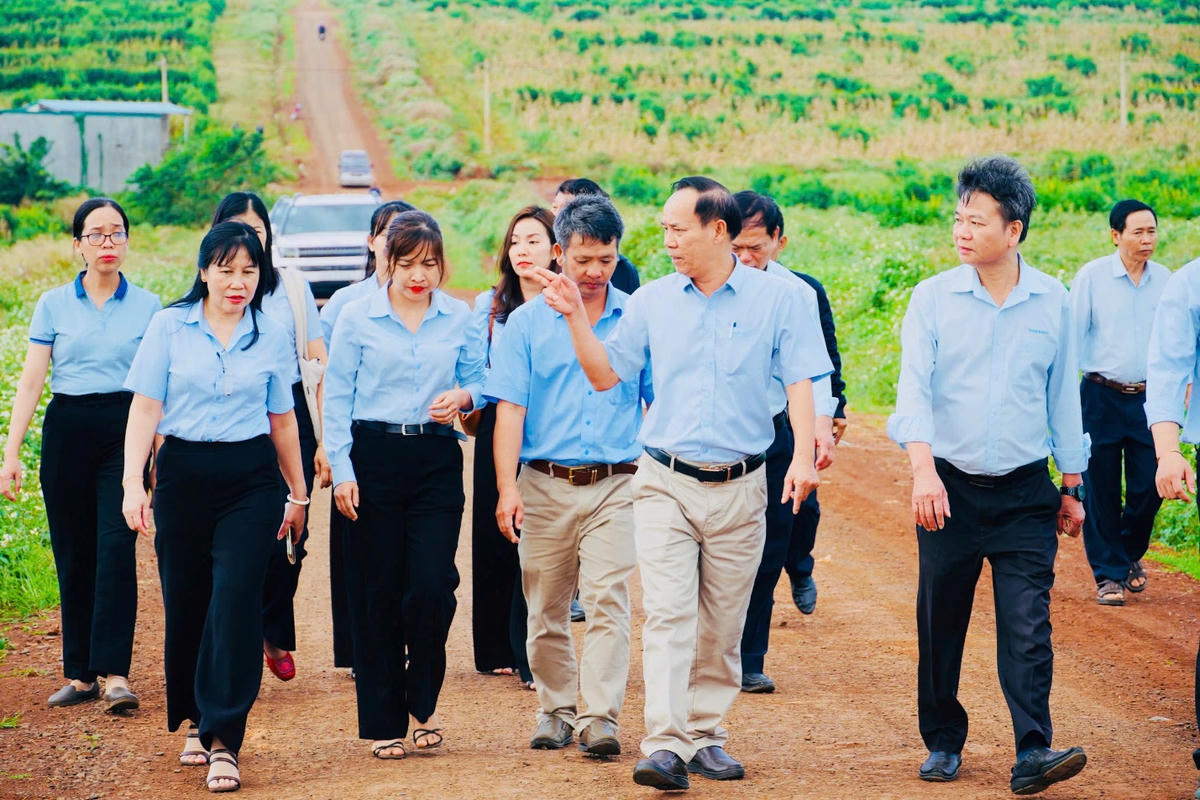 Công ty Cao su Đắk Lắk (Dakruco) thăm quan nông trường cao su.