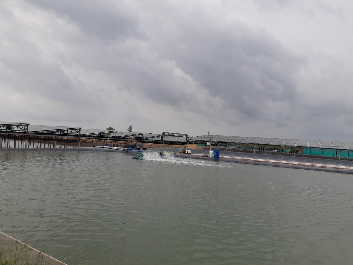 Xã Định Thành đang tích cực vận động nông dân tham gia các tổ hợp tác, hợp tác xã nuôi trồng thủy sản nhân rộng mô hình nuôi tôm 2 giai đoạn. Ảnh: Nguyên Du