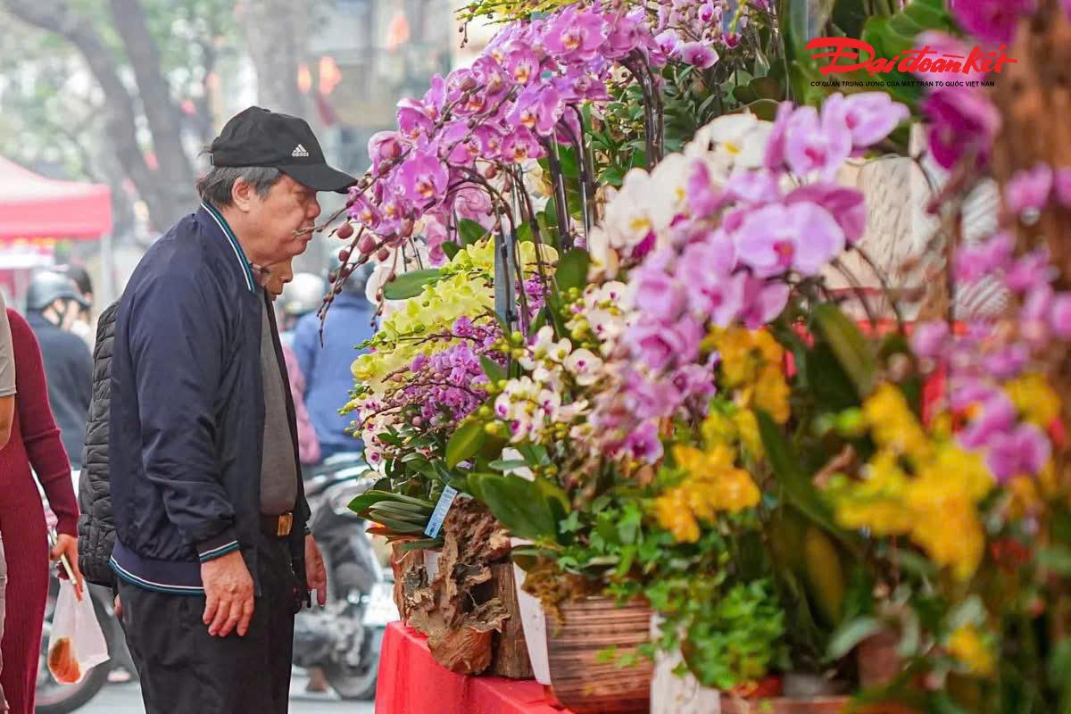 Những chậu hoa lan được bày bán tại Chợ hoa Xuân, thu hút người dân và du khách lựa chọn trang trí nhà cửa dịp Tết Nguyên đán.. 