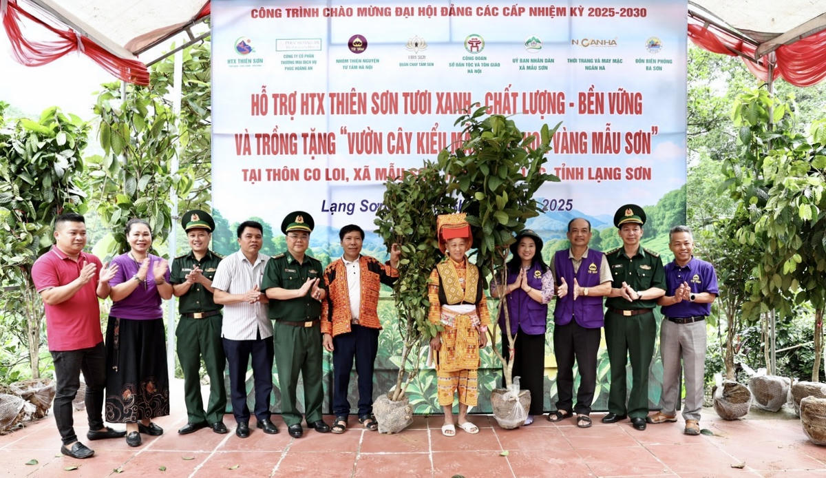 Đồn Biên phòng Ba Sơn trao tặng 150 cây trà hoa vàng cho&nbsp;gia đình ông Dương Trùng Lỷ (thôn Co Loi, xã Ba Sơn). Ảnh: Đình Quang.