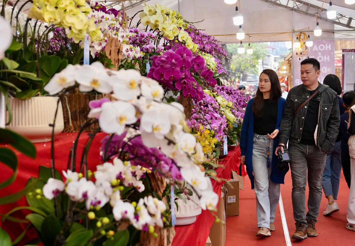 Sắc hoa rực rỡ tại chợ Hoa Xuân Phố cổ 2026. Ảnh: Quỳnh Anh.