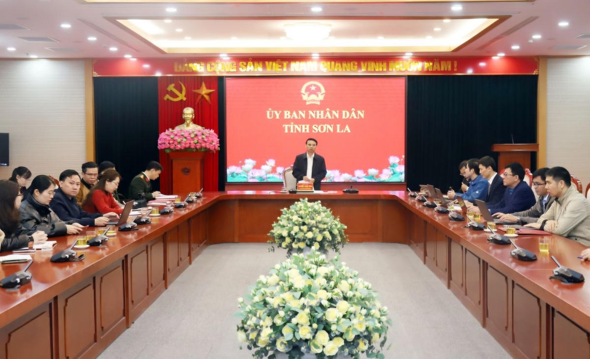 Phó Chủ tịch UBND tỉnh Sơn La Nguyễn Minh Tiến chỉ đạo đẩy nhanh tiến độ Tổng điều tra kinh tế tỉnh năm 2026. Ảnh: S.L