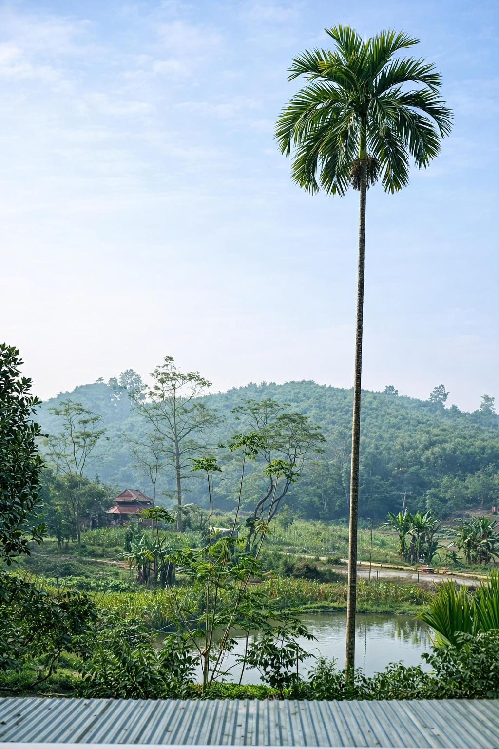Tìm về chốn “Bầm ơi”