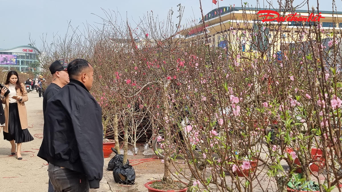 Người bán tại chợ hoa không chỉ là người địa phương, mà đã thu hút hàng ngàn tiểu thương đến từ khắp nơi trên cả nước hội tụ về. Ảnh: Anh Toán.