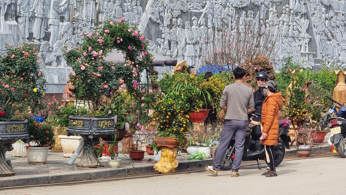 Mặt hàng quất cảnh cũng rất đa dạng về giá cả, từ khoảng 70.000 đồng/chậu, tới hơn 3 triệu đồng/cây. Ảnh: Anh Toán.