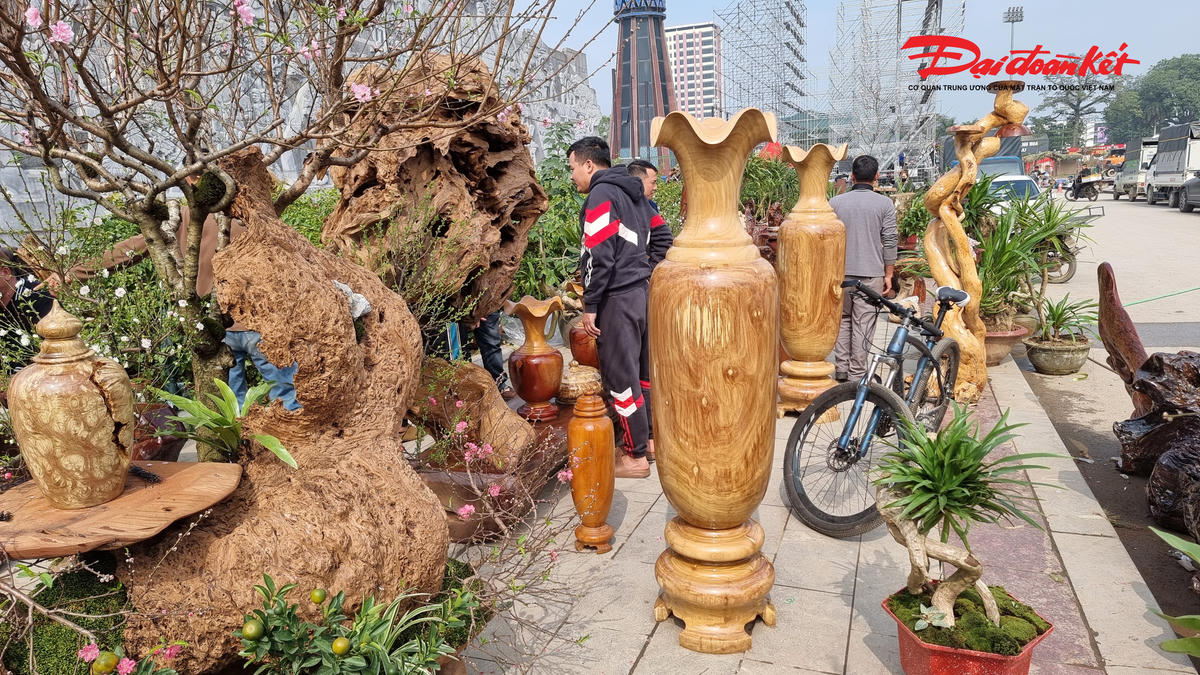 Chợ hoa Tết Phan Đình Phùng tập trung tất cả những sản phẩm và phù hợp với khả năng tài chính cho tất cả các phân khúc khách hàng chơi Tết. Ảnh: Anh Toán.