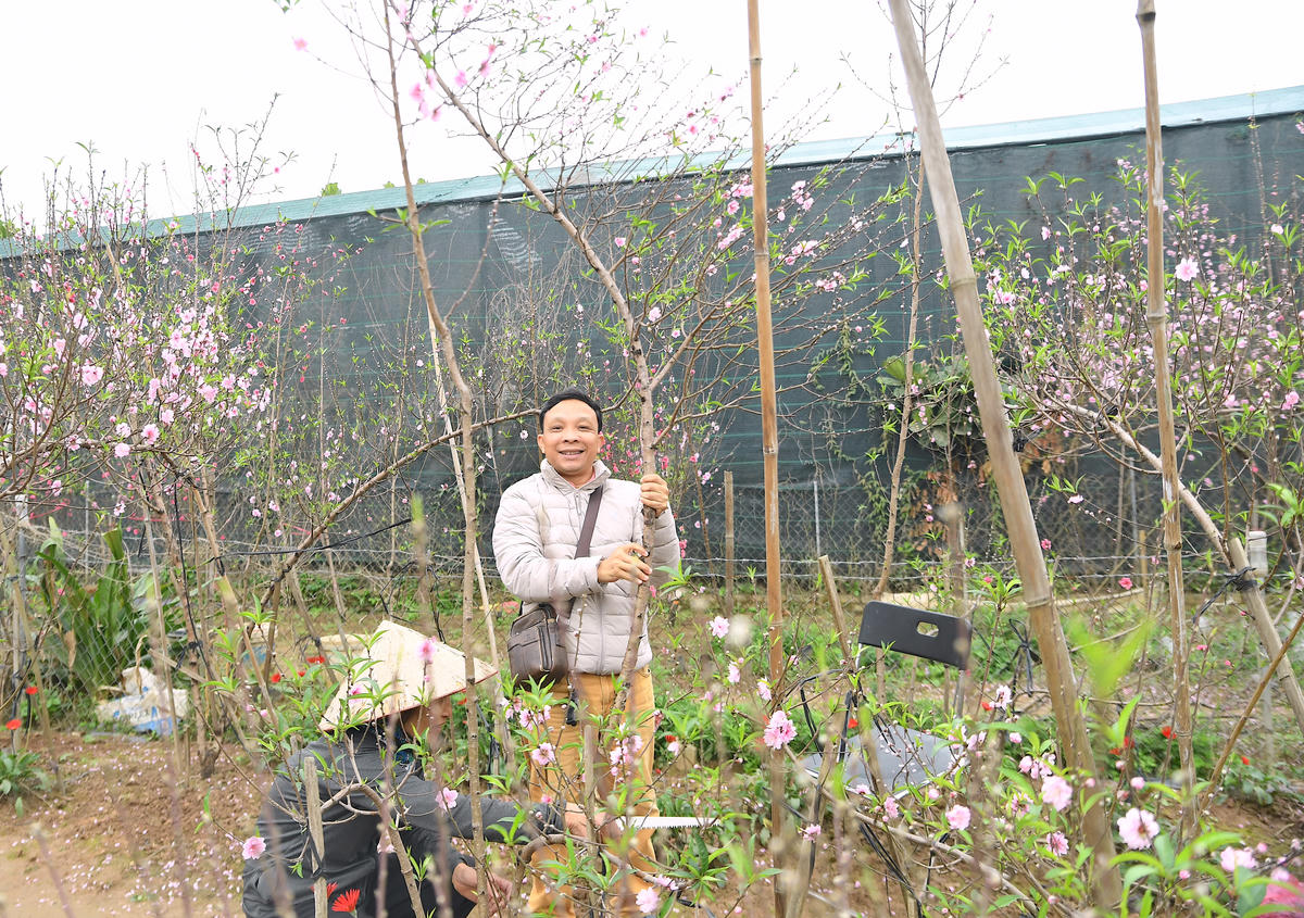Niềm vui rạng rỡ của người dân khi chọn được cành đào ưng ý, mang mùa xuân về nhà. Ảnh: Phạm Sỹ.&nbsp;. 