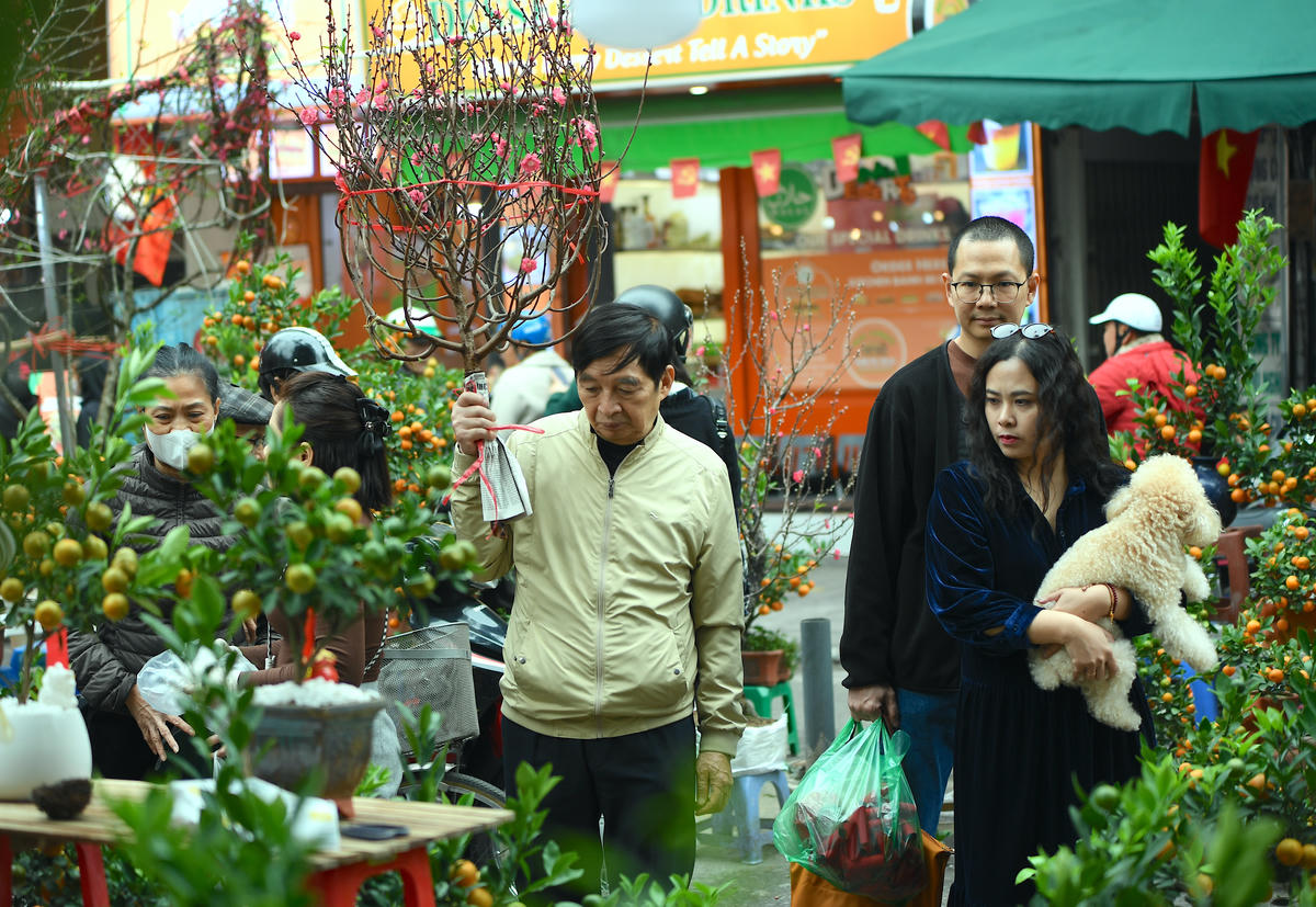 Mỗi chậu cảnh, mỗi nhành hoa như gói ghém khát vọng về một năm mới đủ đầy, suôn sẻ và nhiều điều tốt lành. Ảnh: Phạm Sỹ.