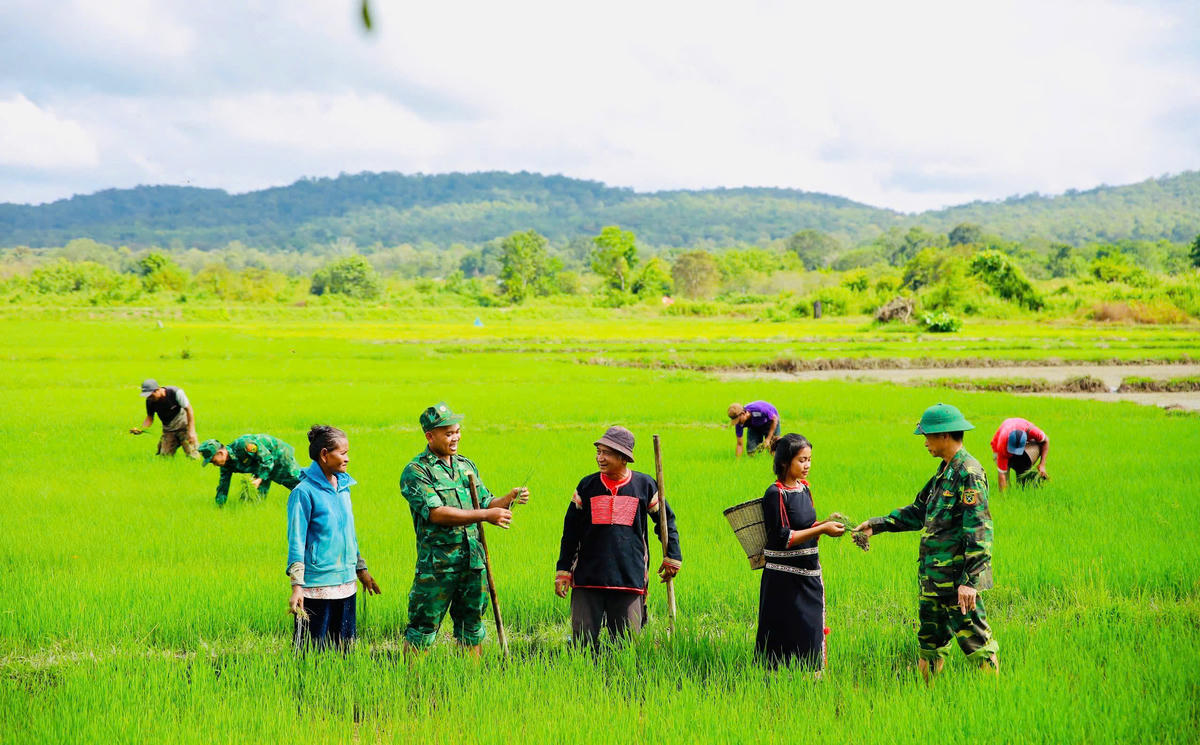 Bộ đội Biên phòng hướng dẫn người dân kỹ thuật trồng lúa nước.&nbsp;