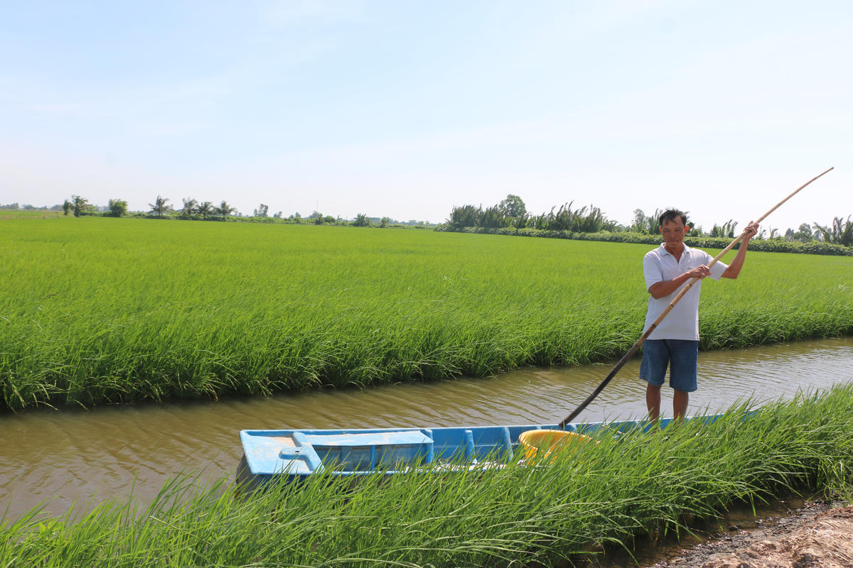 Chính nhờ con tôm, cây lúa đã làm thay đổi ngoạn mục đời sống của người dân ở đây. Ảnh: Nguyên Du