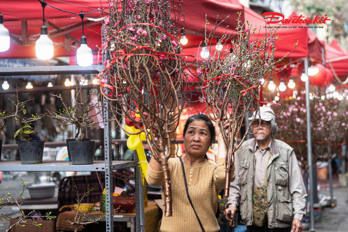 Đào cành Nhật Tân được các tiểu thương bán với giá khoảng 300.000 đồng mỗi cành, tùy theo dáng thế và kích thước.