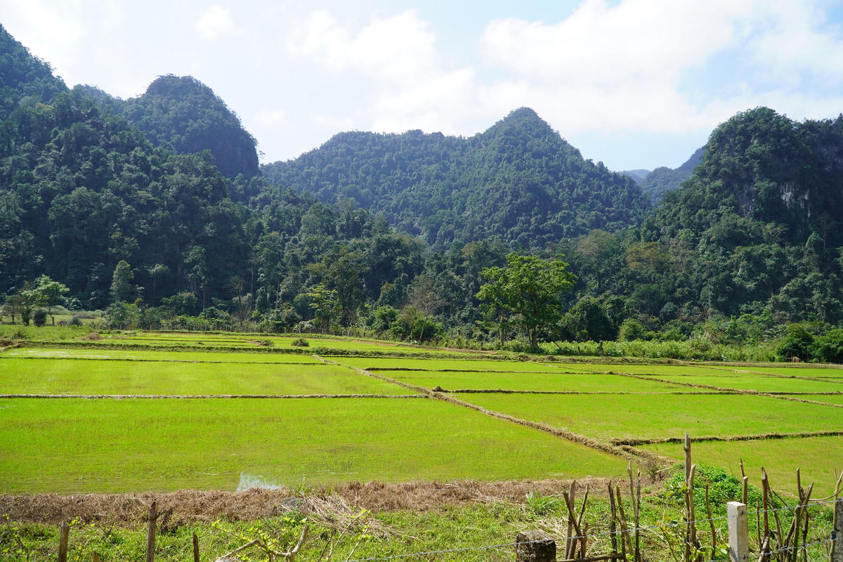 Ruộng lúa nước của đồng bào Bru - Vân Kiều dọc dãy Trường Sơn.  Ảnh: X.T