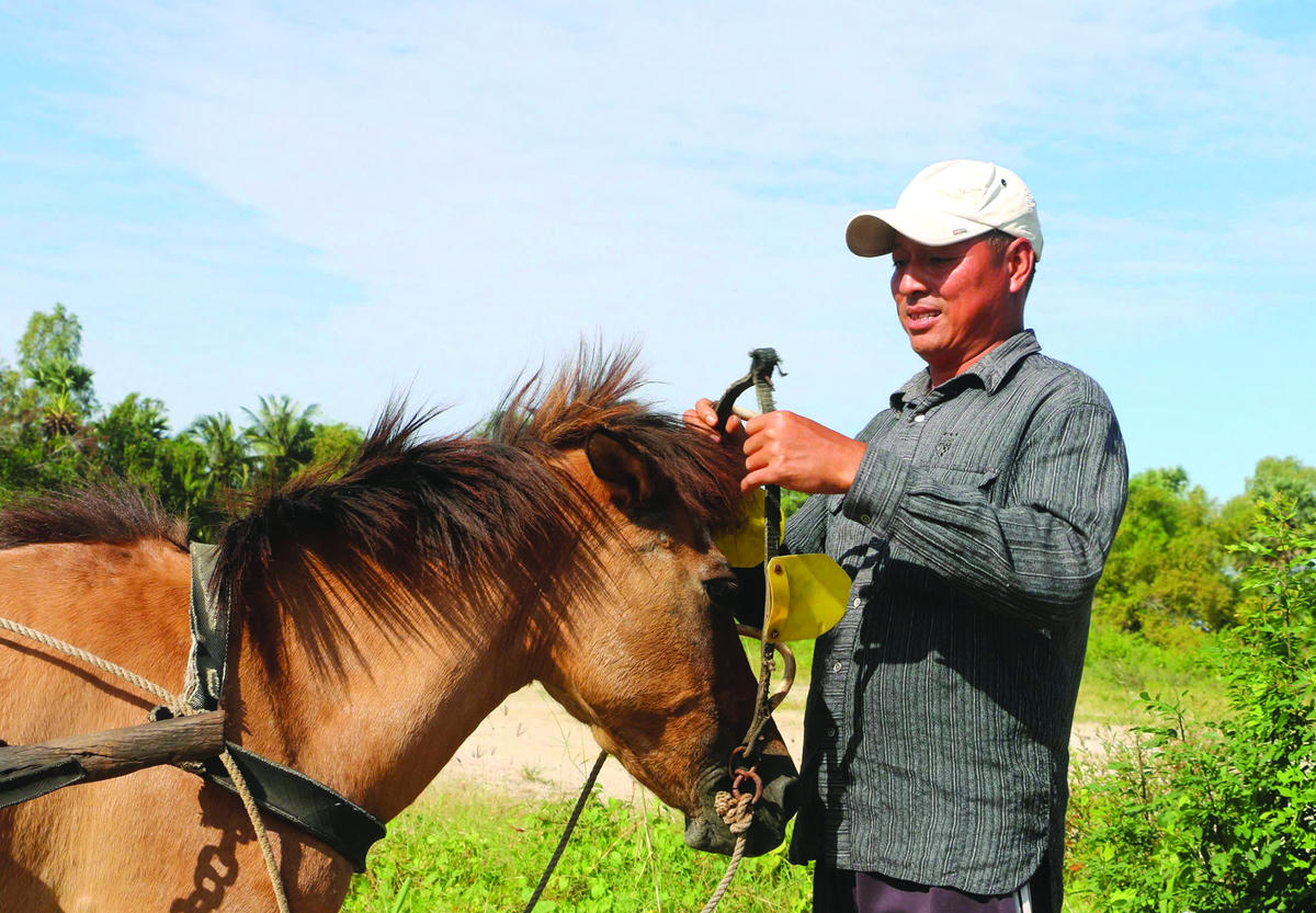 Nhiều du khách, nhất là khách nước ngoài đến Cồn Thới Sơn đều muốn trải nghiệm di chuyển bằng xe ngựa.