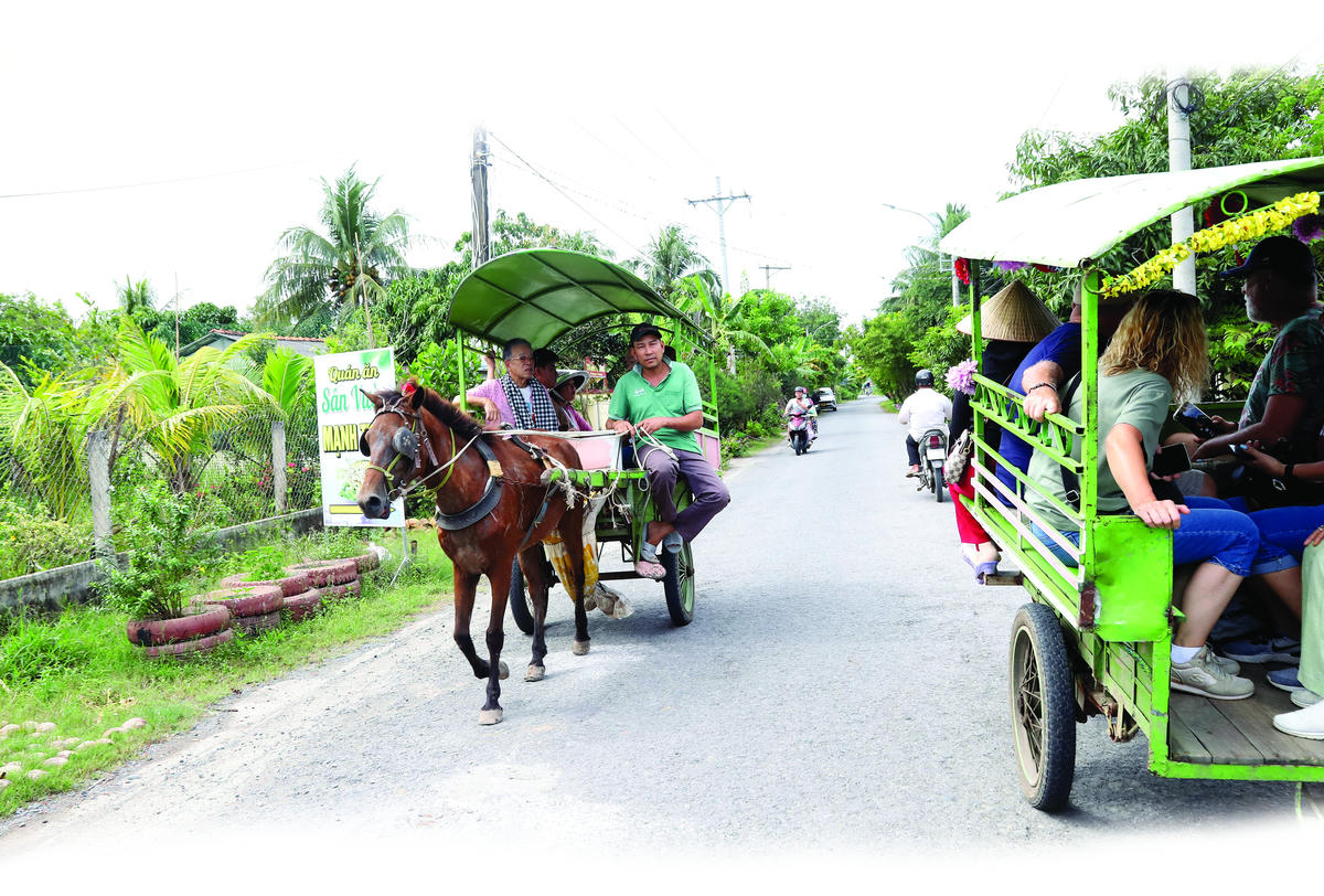 ‘Lốc cốc’ vó ngựa trời Nam