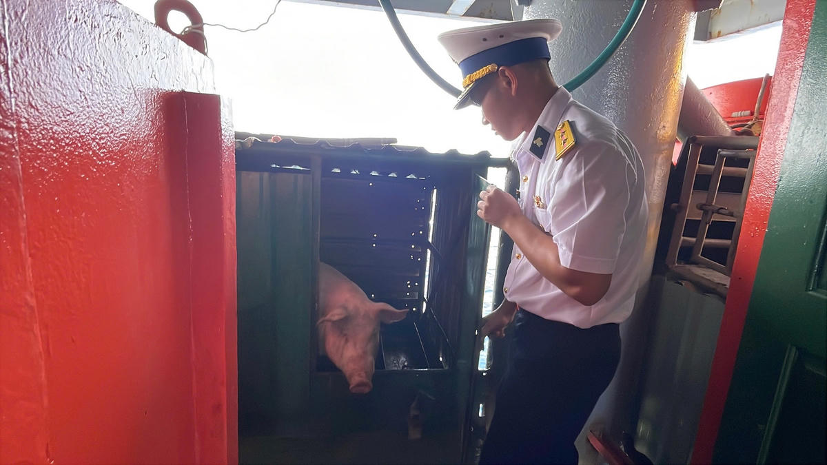 Nguồn thực phẩm cũng được cán bộ chiến sĩ, người dân trên các nhà giàn chuẩn bị chu đáo. Ảnh: Đoàn Xá.