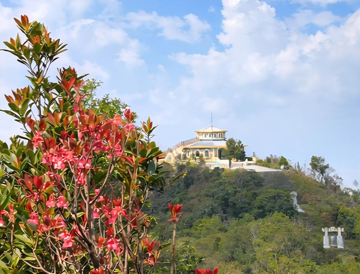 Khi mùa xuân đến, cũng là lúc Bạch Mã khoác lên mình chiếc áo mới, nhiều loài hoa cùng nhau khoe sắc, đâm chồi nảy lộc tạo nên một khung cảnh vô cùng rực rỡ.&nbsp;Ảnh: VQG Bạch Mã.