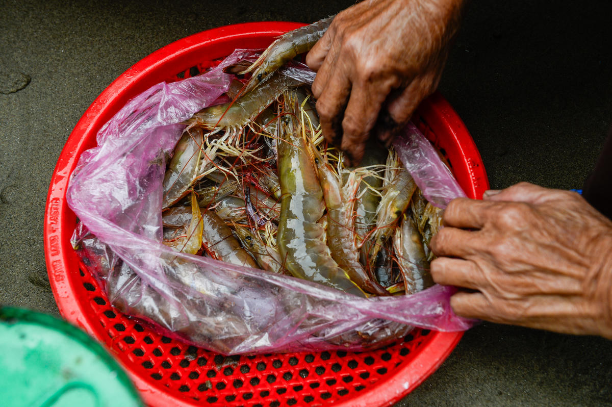 Tôm cá đầy khoang sau những chuyến ra khởi đầu năm. Ảnh: Đình Minh