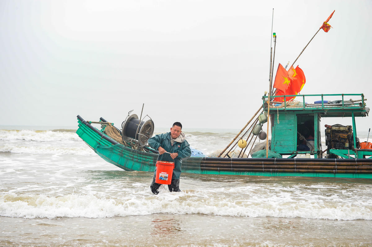 Khi mặt trời vừa ló rạng sau màn sương mỏng, những con thuyền nối nhau cập bến trong niềm phấn khởi. Trên bãi cát còn ướt hơi sương, cá đục, cá bơn, cá khoai, tôm, ghẹ… tươi rói được nhanh tay phân loại ngay khi vừa kéo lưới lên bờ. Ảnh: Đình Minh