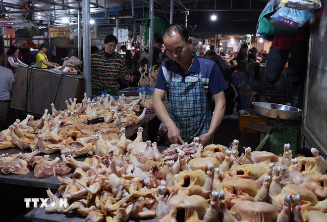 Tiểu thương chuẩn bị nguồn cung thực phẩm phục vụ thị trường sau Tết Bính Ngọ, ở Chợ đầu mối Nam Hà Nội, thành phố Hà Nội. (Ảnh: Vũ Sinh/TTXVN).