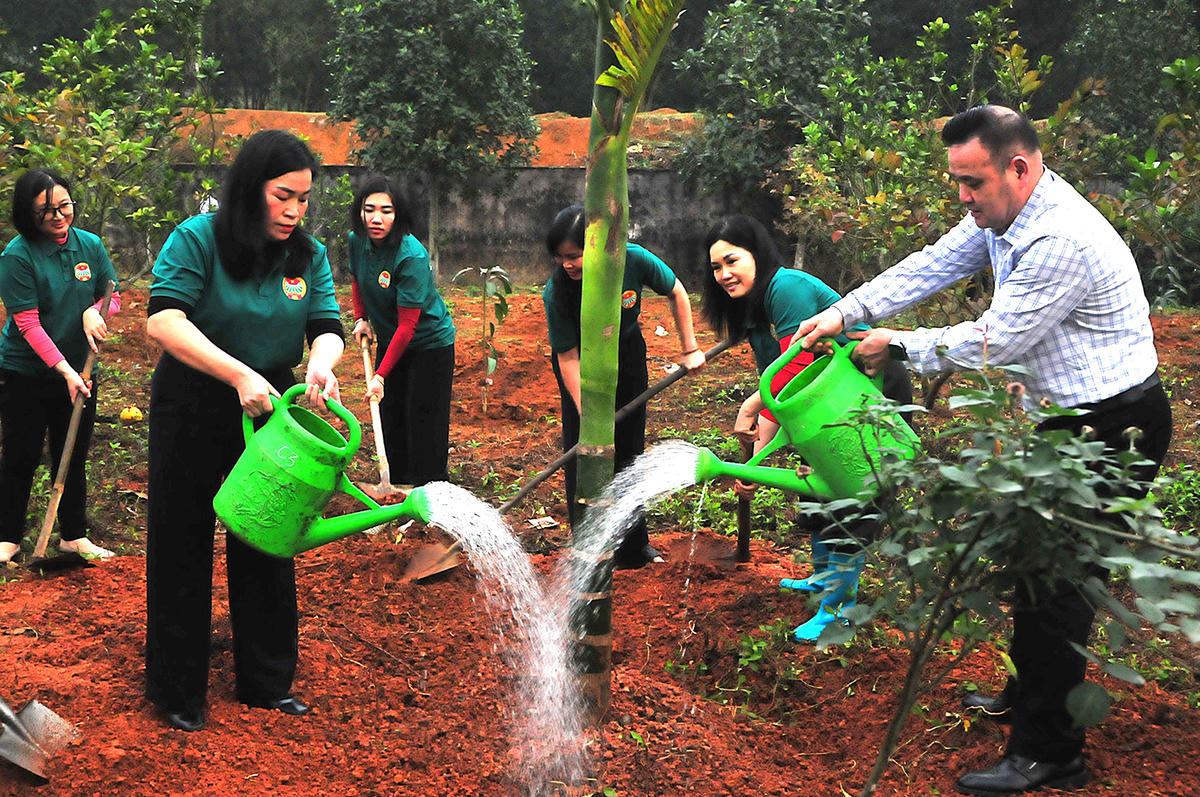 Lãnh đạo Hội nông dân tỉnh trồng, chăm sóc cây. Ảnh: Xuân Trường.