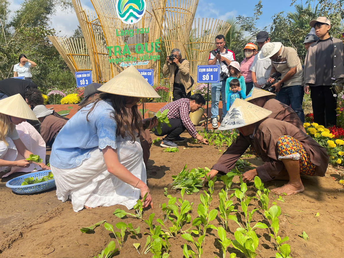 Du khách đang trải nghiệm trồng rau tại làng rau Trà Quế. Ảnh: CV.