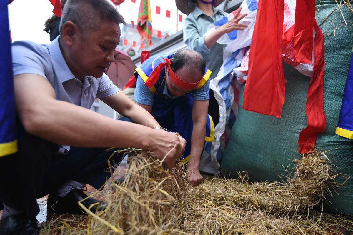 Thành viên các đội bện rơm thành từng cuộn dài làm chất đốt và đệm cho cối đá, công đoạn đòi hỏi sự khéo léo để giữ lửa cháy đều, bền. Ảnh: Phạm Sỹ.