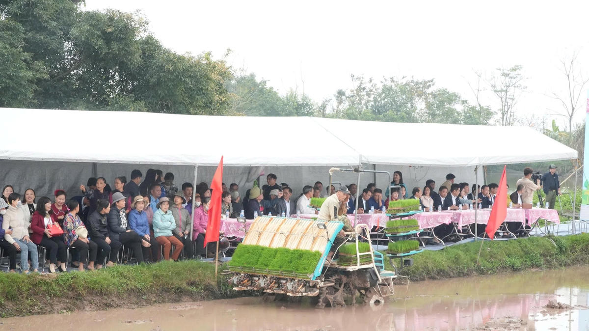 Lễ xuống đồng không chỉ là nghi thức mang giá trị văn hóa, mà còn là điểm khởi động cho chuỗi nhiệm vụ phát triển nông nghiệp năm 2026 . Ảnh: TL