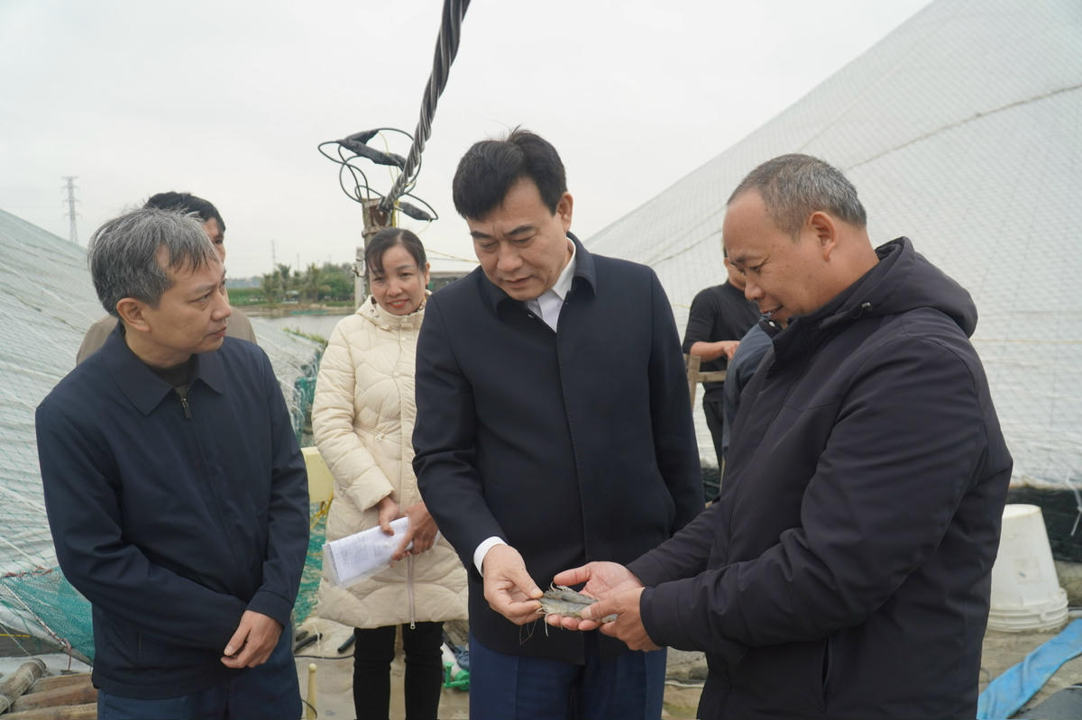 Lãnh đạo Hội Nông dân tỉnh Thanh Hóa đánh giá cao mô hình nuôi tôm của ông Phương. Ảnh: Đình Minh