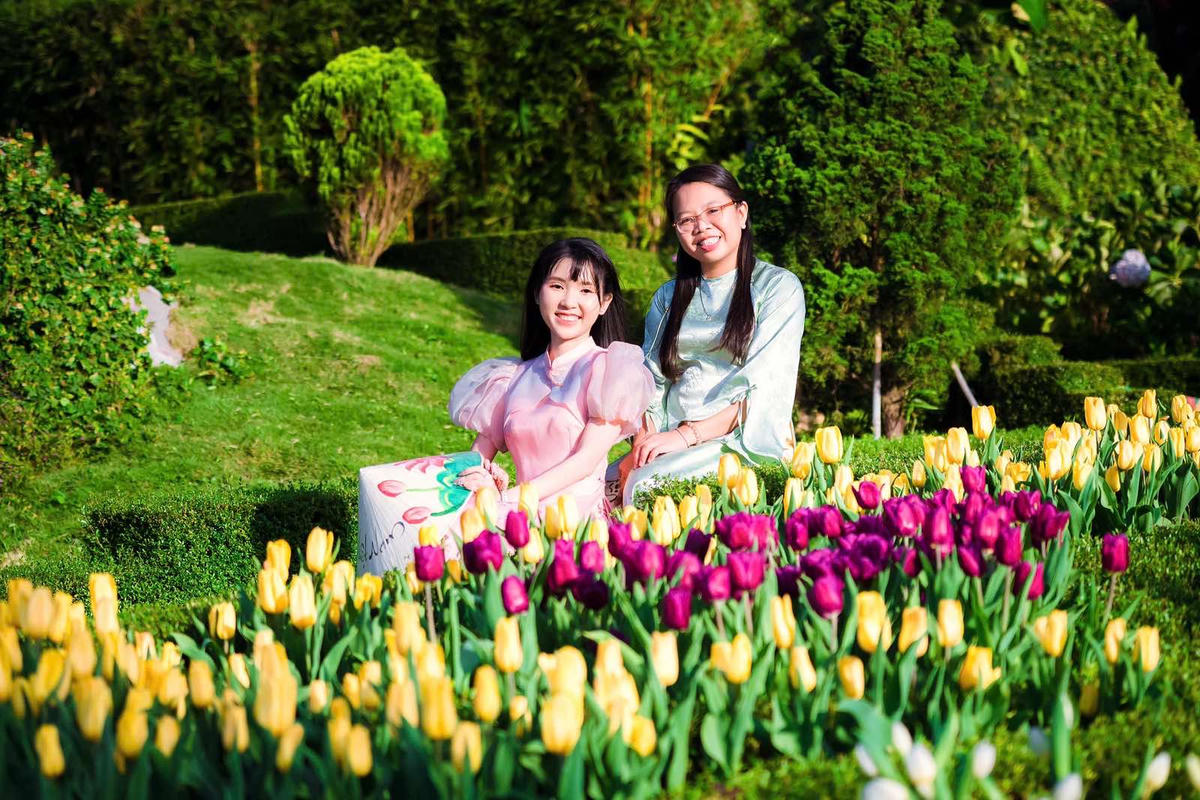 Lễ hội hoa tulip thu hút du khách đến check-in.