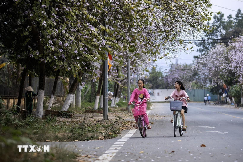 Nhiệt độ ban ngày tại Bắc Bộ có thể lên tới trên 33 độ C. (Ảnh: Trọng Đạt/TTXVN).