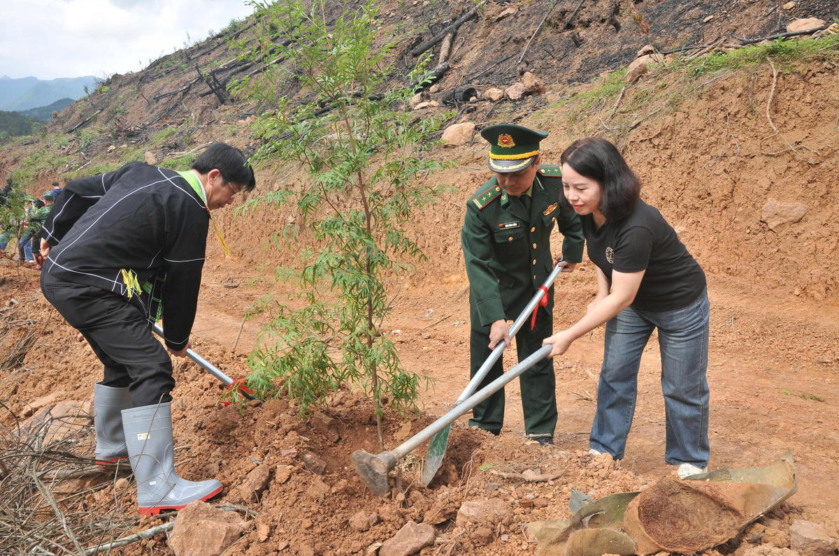 Cán bộ Đồn Biên phòng Ba Sơn cùng nhân dân trồng cây.&nbsp;