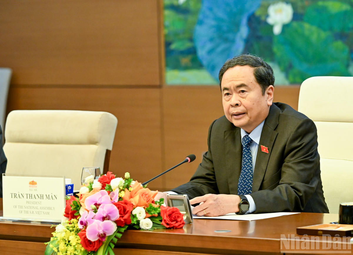 Chủ tịch Quốc hội Trần Thanh Mẫn phát biểu tại cuộc tiếp. (Ảnh: DUY LINH)